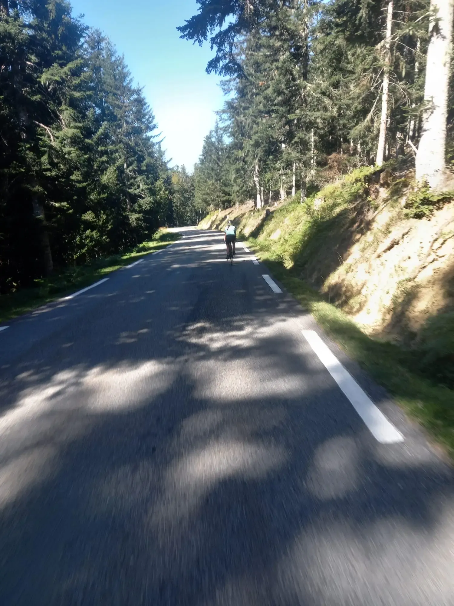 ycliste de dos en plein effort dans une longue ligne droite de l'ascension forestière du Col d'Aspin à vélo. Le coureur, portant un maillot bleu clair, progresse au milieu d'une forêt dense de sapins et de pins dans les Pyrénées. La route goudronnée et ombragée est bordée par un talus de terre à droite, avec des jeux de lumière et des ombres de feuillage projetées sur l'asphalte.